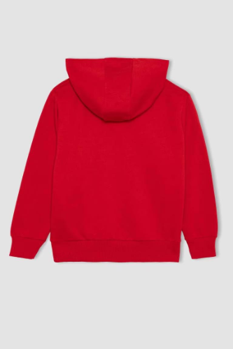 Resim Defacto Erkek Çocuk Sweat