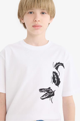 Resim Defacto Erkek Çocuk Kısa Kol T-shirt E0173A8/WT34