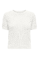 Resim Only Onlsaga Lıfe Ss O-Neck Cc Knt Kadın Bluz 15339662