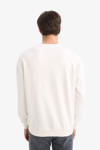 Resim Defacto Erkek  Sweat E6430AX/ER105