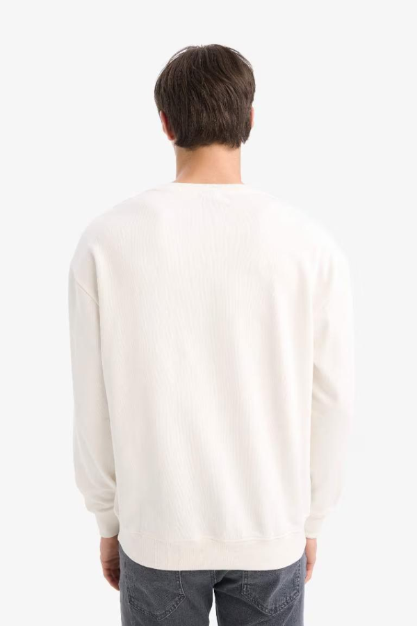 Resim Defacto Erkek  Sweat E6430AX/ER105