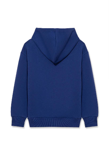 Resim Mavi Miav Baskılı Kapüşonlu Erkek Çocuk Sweat M6S10028-70722