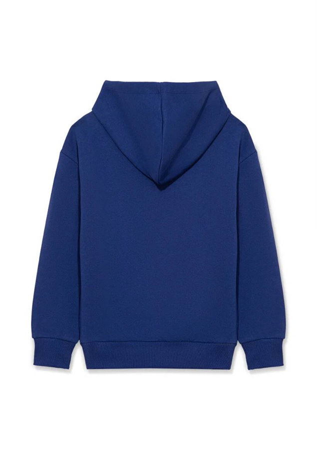Resim Mavi Miav Baskılı Kapüşonlu Erkek Çocuk Sweat M6S10028-70722