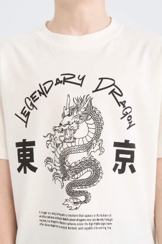 Resim Defacto Erkek Çocuk T-shirt D9277A8/WT32