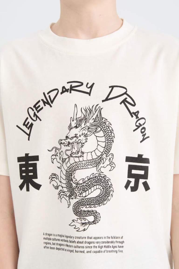 Resim Defacto Erkek Çocuk T-shirt D9277A8/WT32
