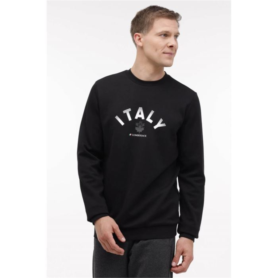 Resim Lumberjack Erkek Sweat A101899205 4W,Ml Robert 16Itly72 4Pr