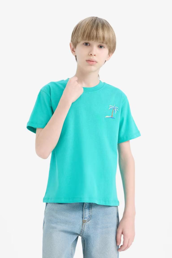 Resim Defacto Erkek Çocuk Kısa Kol T-shirt E0087A8GN1151