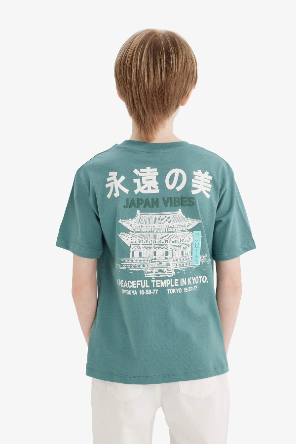 Resim Defacto Erkek Çocuk Kısa Kol T-shirt E5084A8GN1258