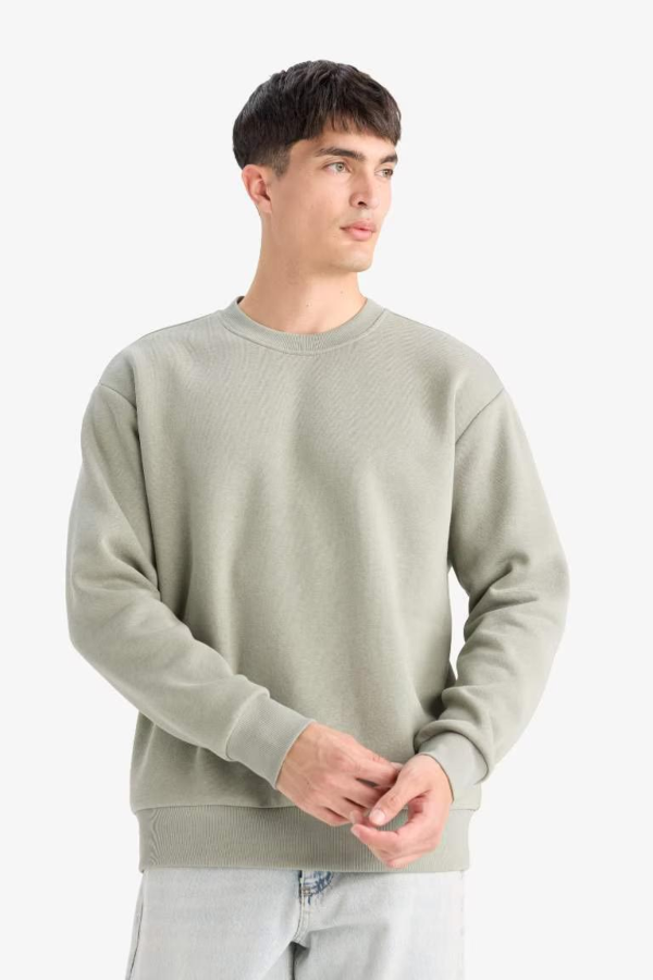 Resim Defacto Erkek  Sweat T5139AZ/GN931