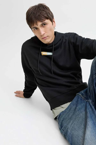 Resim Jack & Jones Jjpan Sweat Hood Erkek Sweat 12278618