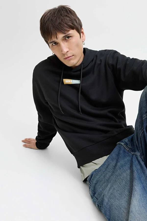 Resim Jack & Jones Jjpan Sweat Hood Erkek Sweat 12278618