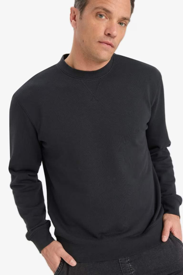 Resim Defacto Erkek  Sweat E8339AX/AR235