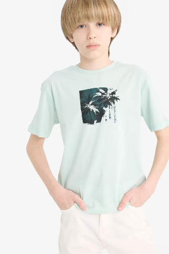 Resim Defacto Erkek Çocuk Kısa Kol T-shirt E4168A8GN1114