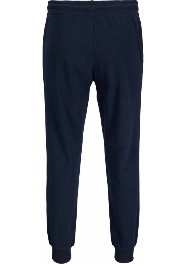 Resim Jack & Jones Jpstgordon Jjsımon Sweat Pants Naf Erkek Eşofman Alt 12268442