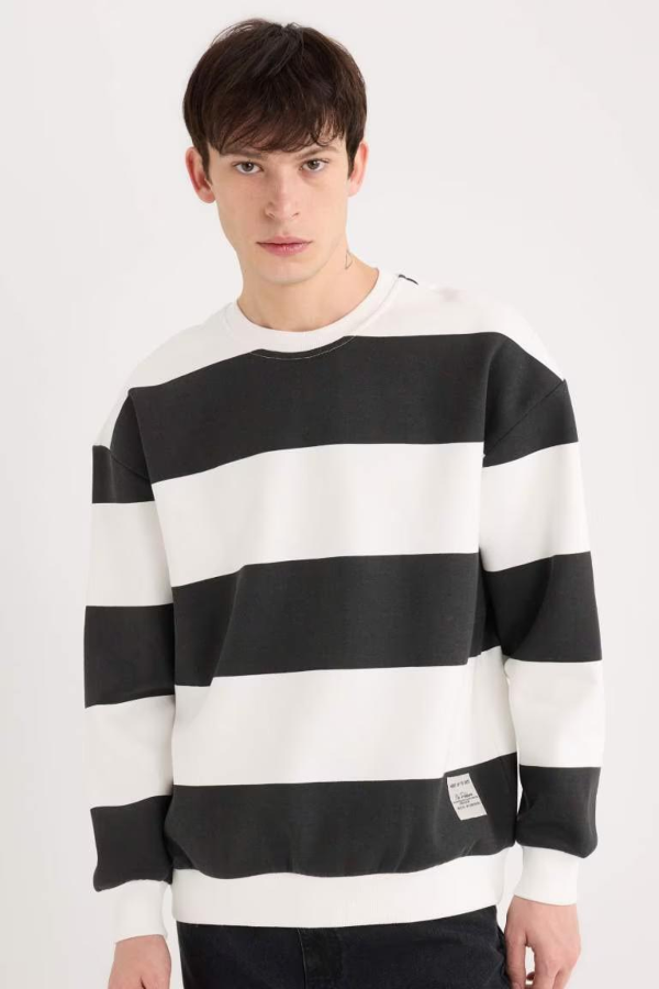 Resim Defacto Erkek  Sweat A9066AX/BK81