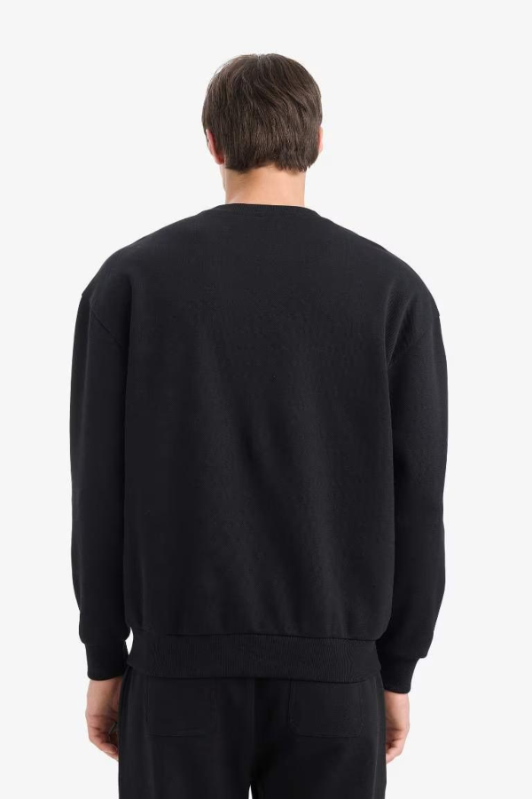 Resim Defacto Erkek  Sweat E1519AX/BK81