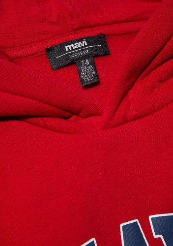 Resim Mavi Baskılı Kapüşonlu Erkek Çocuk Sweat M6610110-70464