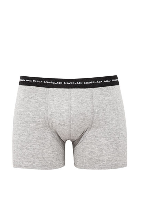 Resim Mavi Erkek Boxer