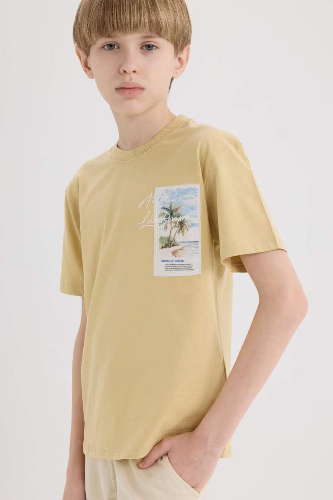 Resim Defacto Erkek Çocuk Kısa Kol T-shirt E3743A8BG809