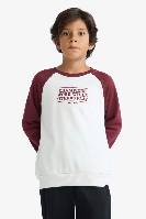 Resim Defacto Erkek Çocuk  Sweat F2707A8/ER136