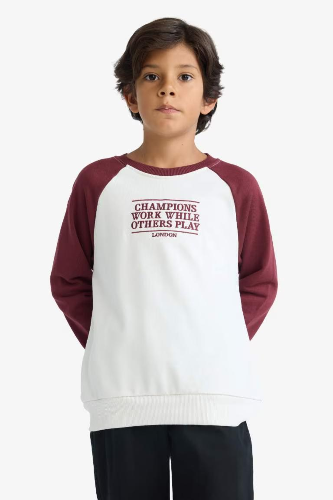 Resim Defacto Erkek Çocuk  Sweat F2707A8/ER136