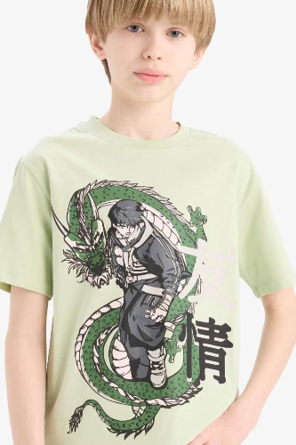 Resim Defacto Erkek Çocuk Kısa Kol T-shirt D9279A8/GN1261