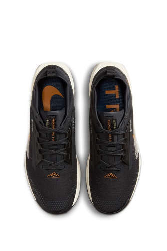 Resim Nike Pegasus Trail 5 Gtx Erkek Spor Ayakkabı Fq0908-007