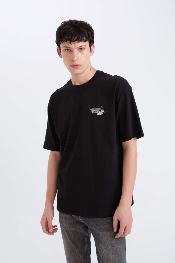 Resim Defacto Erkek T-shirt
