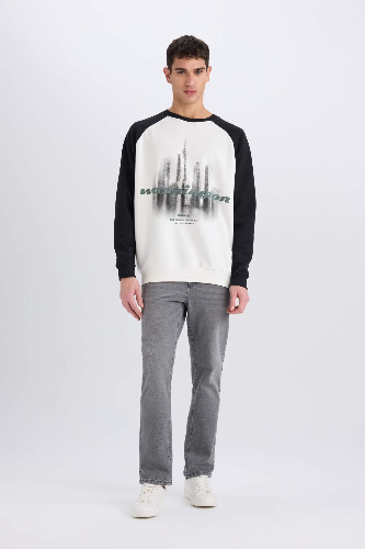 Resim Defacto Erkek  Sweat D6997AXER105