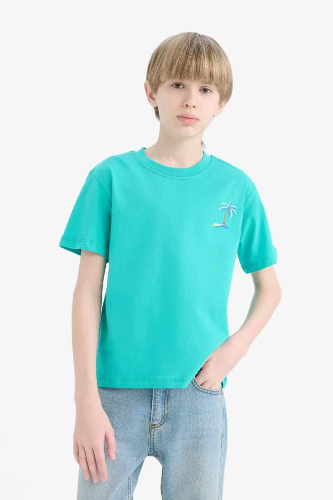Resim Defacto Erkek Çocuk Kısa Kol T-shirt E0087A8GN1151