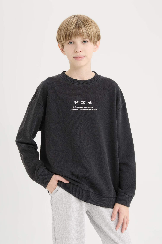 Resim Defacto Erkek Çocuk  Sweat D8494A8BK81