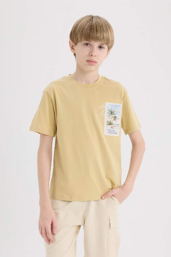 Resim Defacto Erkek Çocuk Kısa Kol T-shirt E3743A8BG809