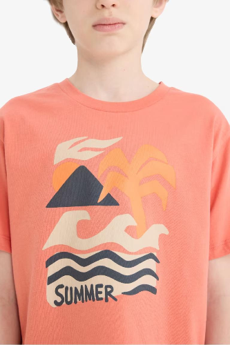 Resim Defacto Erkek Çocuk Kısa Kol T-shirt E6317A8OG233