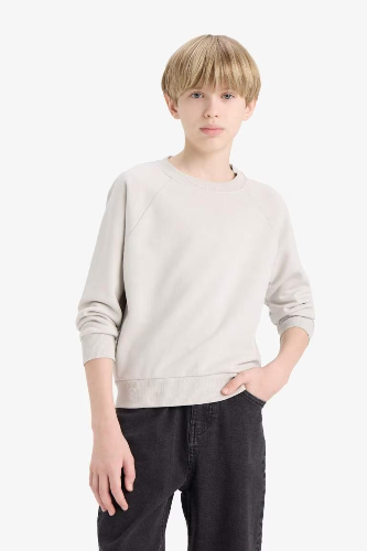Resim Defacto Erkek Çocuk  Sweat E8415A8/GR94