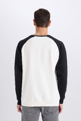 Resim Defacto Erkek  Sweat D6997AXER105