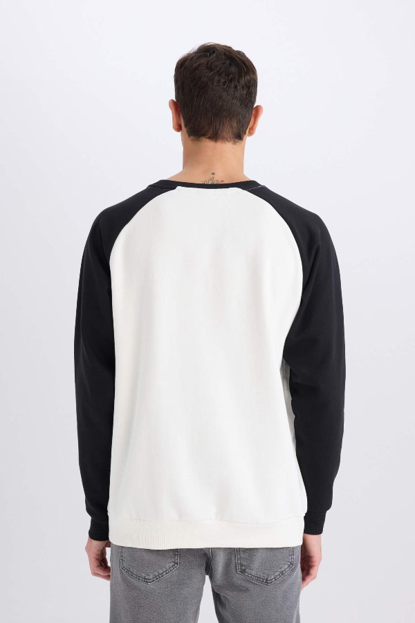 Resim Defacto Erkek  Sweat D6997AXER105