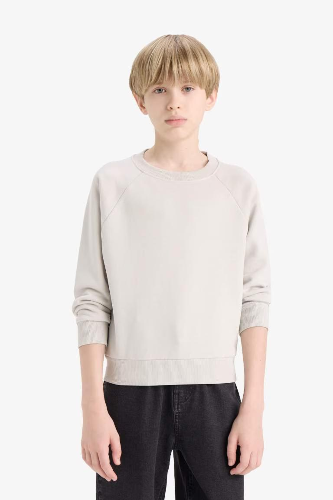 Resim Defacto Erkek Çocuk  Sweat E8415A8/GR94