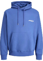 Resim Jack & Jones Jcounıon Prınt Sweat Hood Noos Erkek Sweat 12273915