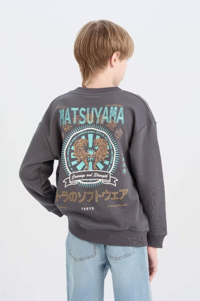 Resim Defacto Erkek Çocuk  Sweat D8497A8/AR15