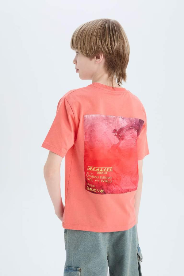 Resim Defacto Erkek Çocuk Kısa Kol T-shirt D9490A8OG116
